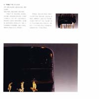 Guqin 90090008-01 - Collector's Edition